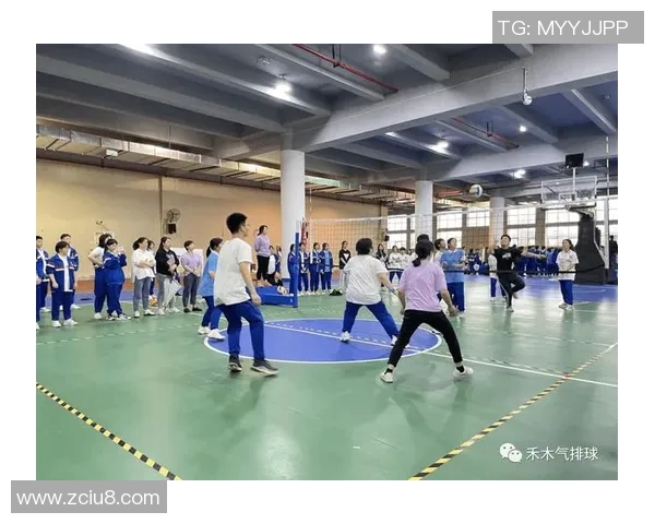 成都排球队的控制打法深度解析与战术应用探讨 成都排球队的控制打法深度解析与战术应用探讨