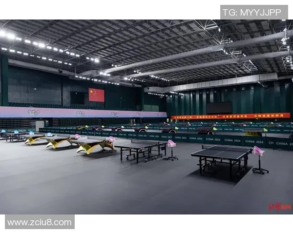 成都乒乓球队中路突破的成功与不足分析及未来发展方向探讨 成都乒乓球队中路突破的成功与不足分析及未来发展方向探讨