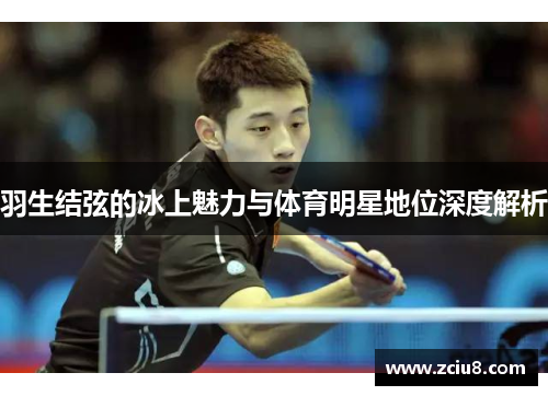 羽生结弦的冰上魅力与体育明星地位深度解析