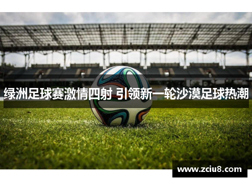 绿洲足球赛激情四射 引领新一轮沙漠足球热潮